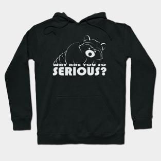 Raccoon - Why Are You So Serious - 02 Hoodie